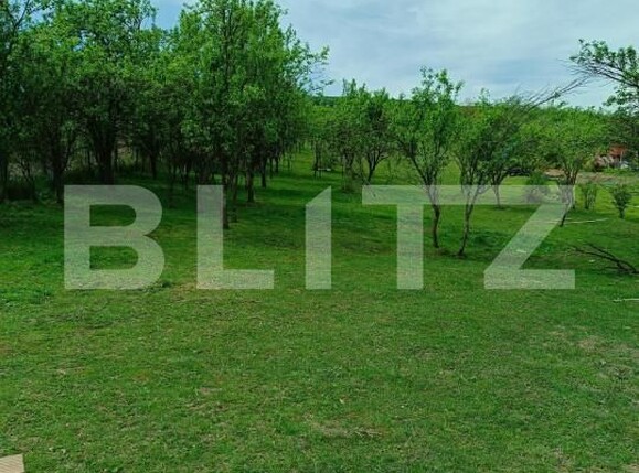 Teren de vânzare Central - 153455TV | BLITZ Dej | Poza1