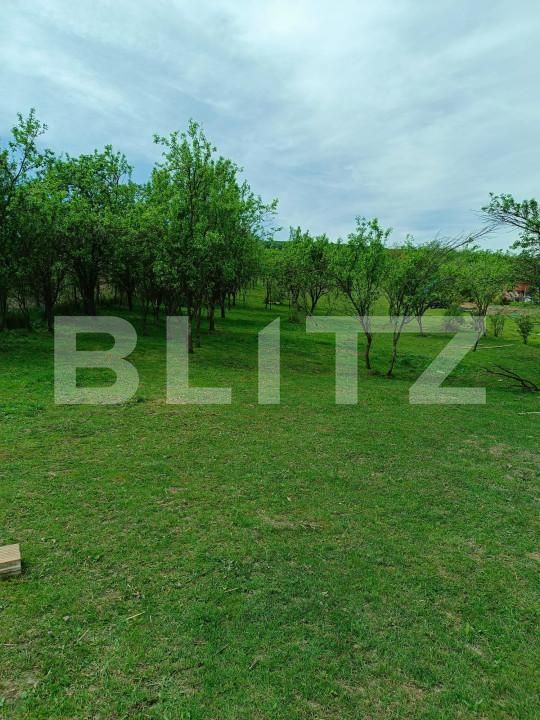 Teren de vânzare Central - 153455TV | BLITZ Dej | Poza1