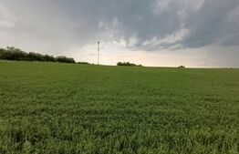 Casă semifinisată , teren generos, ideală pentru personalizare , Sânmărghita