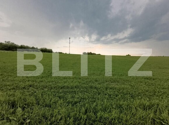 Casa de vânzare 4 camere Nord - 154081CV | BLITZ Dej | Poza5