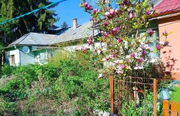 Casa zonă centrală Dej,curte comună, 31mp