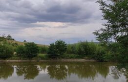 Hale si teren ,curte betonata , destinatii multiple 