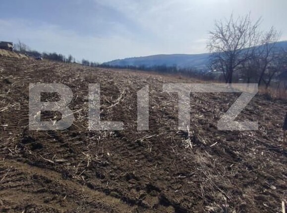 Teren de vânzare Sud - 154763TV | BLITZ Dej | Poza2