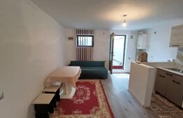 Apartamet 1 camera in Gherla