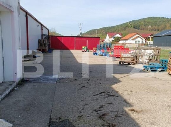 Spațiu industrial de vânzare Sud - 156057SVI | BLITZ Dej | Poza5