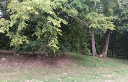 Teren pentru cabana /pensiune locatia perfecta pentru relaxare