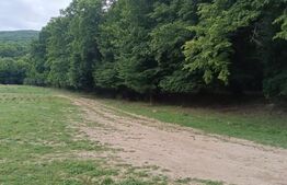 Teren pentru cabana /pensiune locatia perfecta pentru relaxare