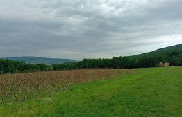 Teren pentru cabana /pensiune locatia perfecta pentru relaxare