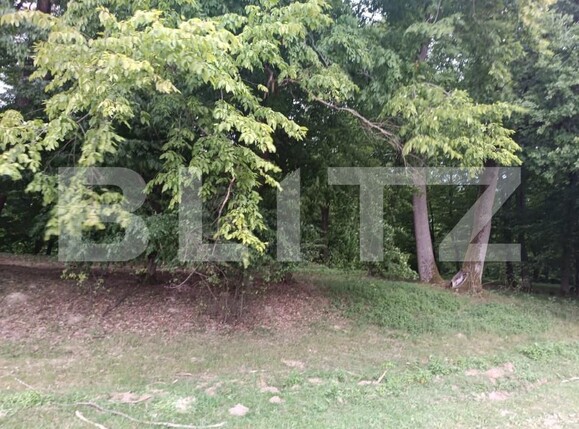 Teren de vânzare Vest - 156068TV | BLITZ Dej | Poza1