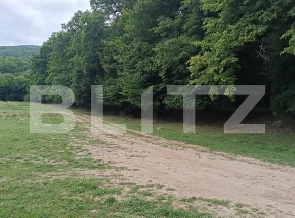 Teren de vânzare Vest - 156068TV | BLITZ Dej | Poza2