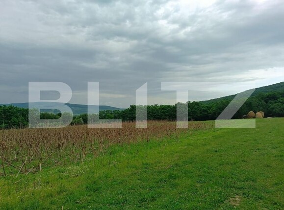 Teren de vânzare Vest - 156068TV | BLITZ Dej | Poza1