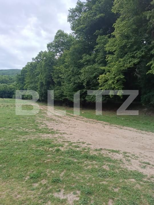 Teren de vânzare Vest - 156068TV | BLITZ Dej | Poza2