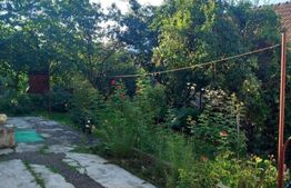 Casa, 3 camere, idala pentru investitie