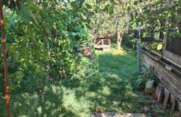 Casa, 3 camere, idala pentru investitie