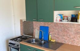 Apartament 1 camera , balcon , loc de parcare 