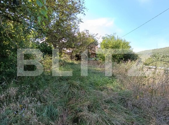 Casa de vânzare 2 camere Sud - 156847CV | BLITZ Dej | Poza7