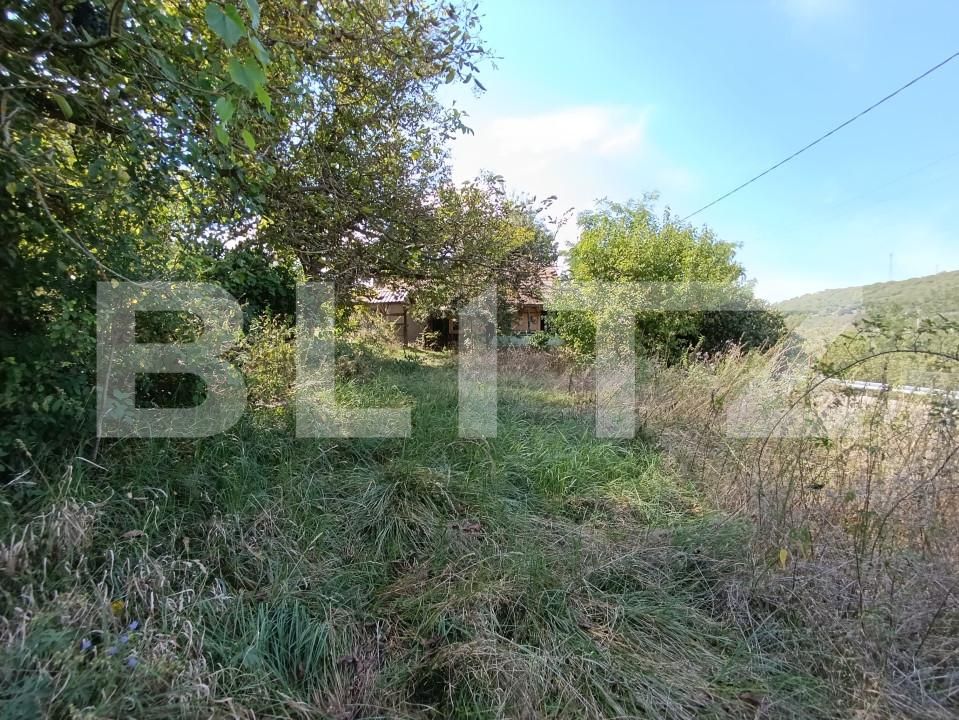 Casa de vânzare 2 camere Sud - 156847CV | BLITZ Dej | Poza7