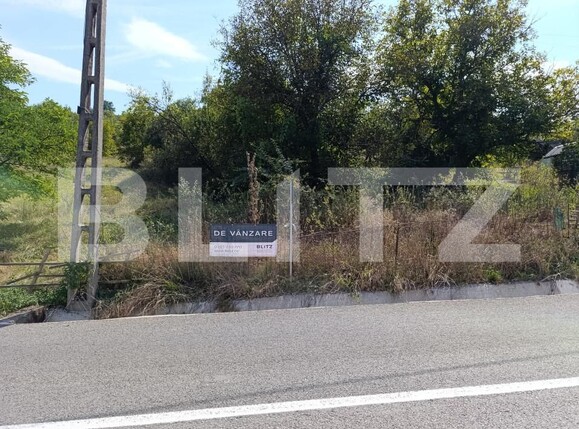 Teren de vânzare Sud - 156905TV | BLITZ Dej | Poza4