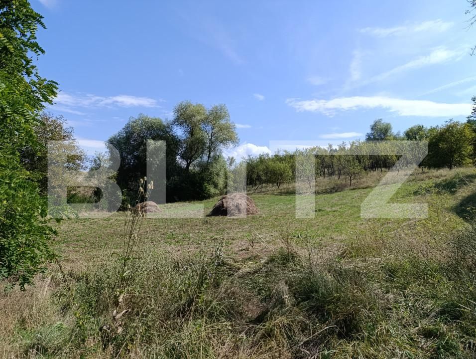 Teren de vânzare Sud - 156905TV | BLITZ Dej | Poza3