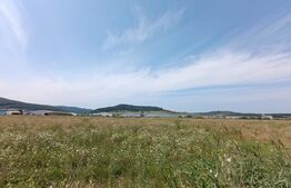 Teren intavilan , zona Industriala 