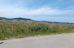 Teren intavilan , zona Industriala 