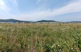 Teren intavilan , zona Industriala 