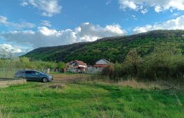 Casa de lux intr-o zona linistita