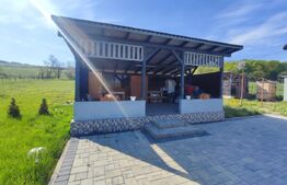 Casa 2 camere , foisor , zona linistita 