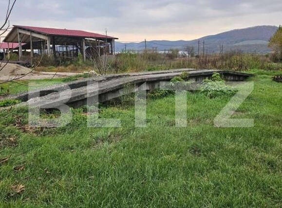 Spațiu industrial de vânzare Central - 157805SVI | BLITZ Dej | Poza2