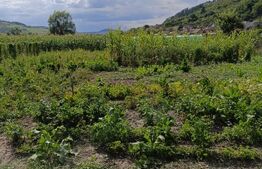 Casa 2 camere, 1000mp teren, comuna Bobalna 