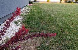 Casă de lux – design rafinat, confort absolut și curte cu terasă acoperită