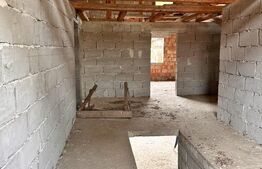 Casă de vânzare la roșu,500 mp utili potențial Unic, loc. Mănăstirea