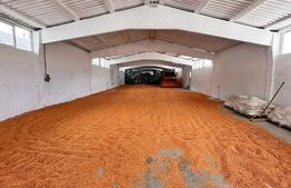 Hala de inchiriat  350 m² , Cășeiu