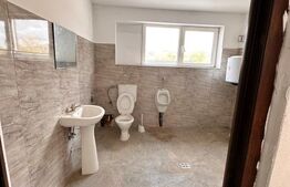 Hala de inchiriat  350 m² , Cășeiu