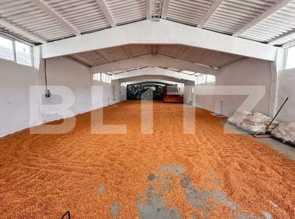 Spațiu industrial de închiriat Nord - 158376SII | BLITZ Dej | Poza1