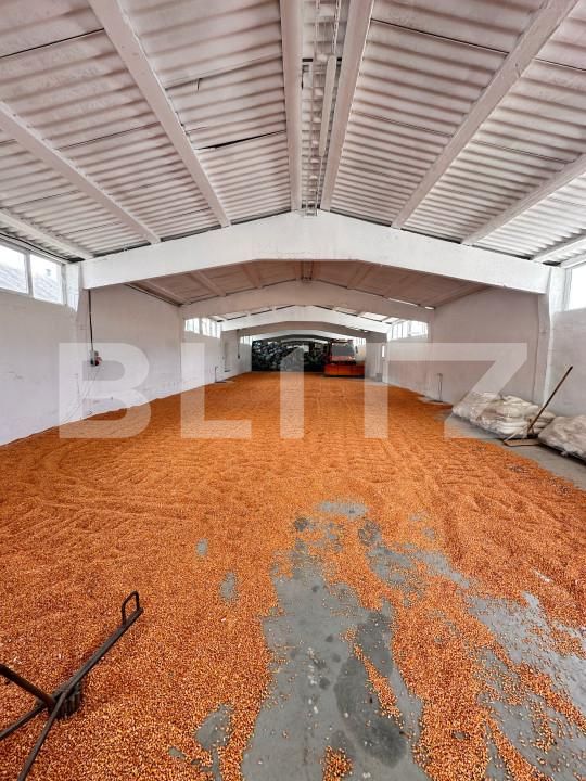Spațiu industrial de închiriat Nord - 158376SII | BLITZ Dej | Poza1