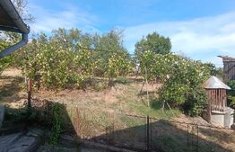 Casa 3 camere, 1600 mp teren, zona linistita