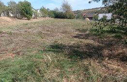 Casa 3 camere, 1600 mp teren, zona linistita