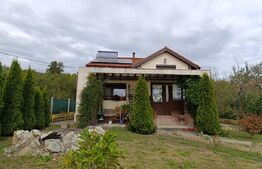 Casă spațioasă și elegantă,  suprafață utilă de 235 mp,Ocna Dej