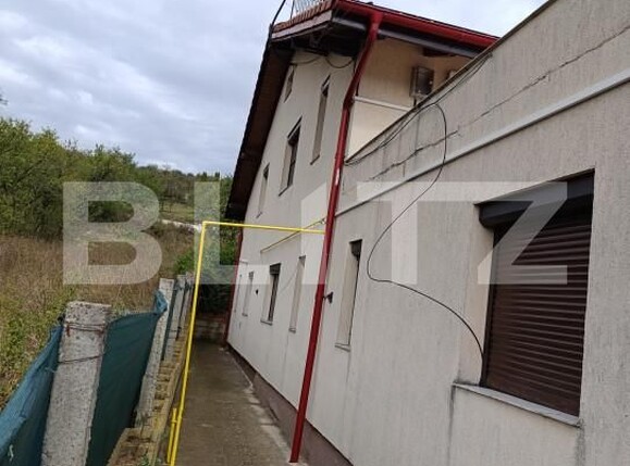 Casa de vânzare 7 camere Vest - 158731CV | BLITZ Dej | Poza3