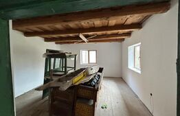 Casa 2 camere, foisor , teren 5900mp ,Vad