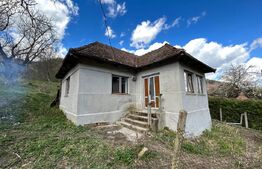 Casa 2 camere, foisor , teren 5900mp ,Vad