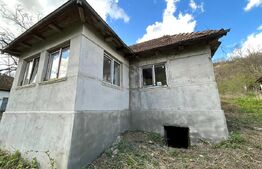 Casa 2 camere, foisor , teren 5900mp ,Vad