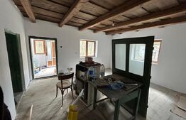 Casa 2 camere, foisor , teren 5900mp ,Vad