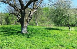 Casa 2 camere, foisor , teren 5900mp ,Vad