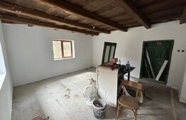 Casa 2 camere, foisor , teren 5900mp ,Vad