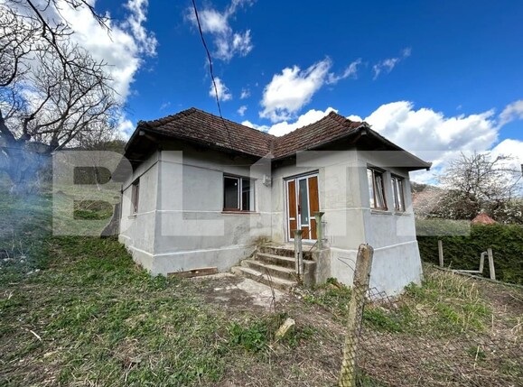 Casa de vânzare 2 camere Exterior Nord - 159272CV | BLITZ Dej | Poza8