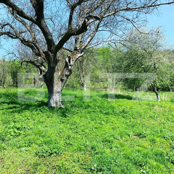 Casa de vânzare 2 camere Exterior Nord - 159272CV | BLITZ Dej | Poza6