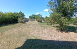 Casa 220 mp, 1400mp teren 