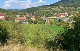 Casă de vânzare în Chiuiești – Comision 0% la cumpărator,8400 mp teren